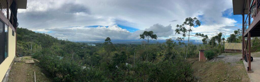 Overlooking Integration Grove