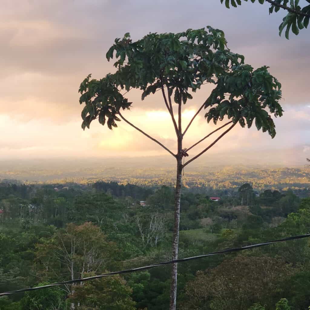 1WhatsApp Image 2025-02-23 at 21.58.57 (1)