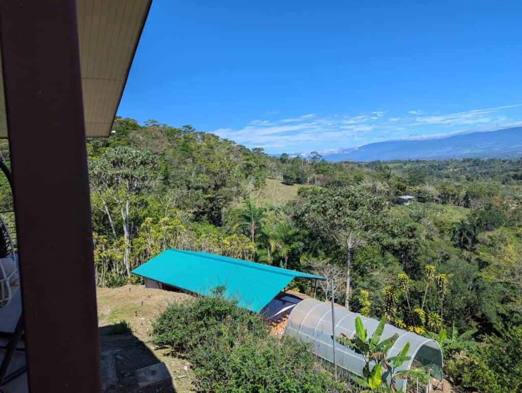 1WhatsApp Image 2025-02-24 at 08.14.41