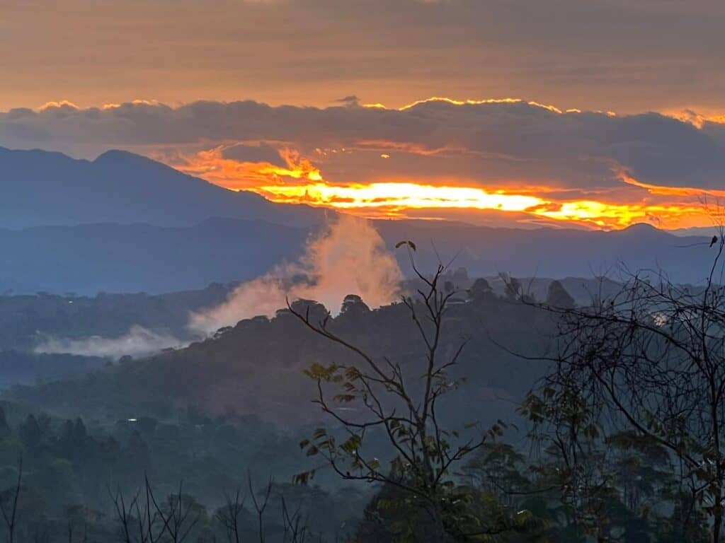 1WhatsApp Image 2025-02-24 at 12.40.25 (1)