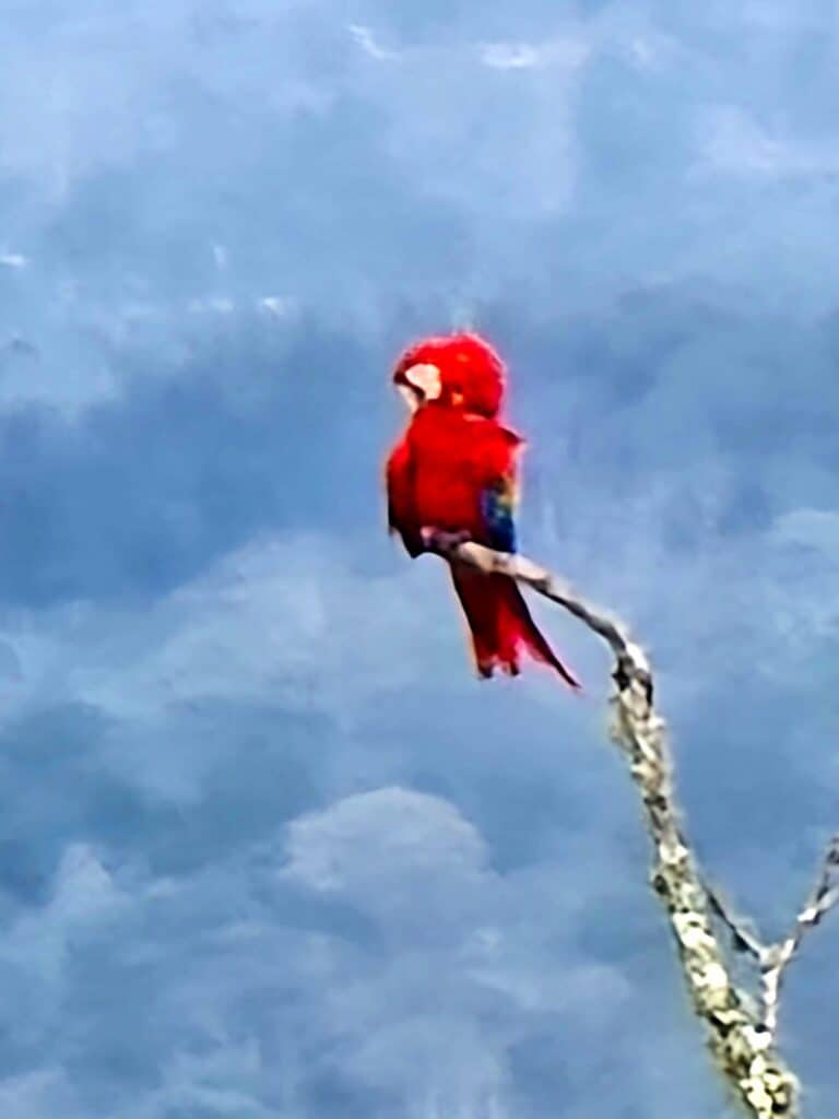 WhatsApp Image 2025-02-28 at 17.38.25 (1)